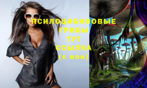 синтетический гашиш Алексеевка