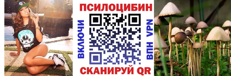 kraken сайт  Славск  Галлюциногенные грибы Magic Shrooms 